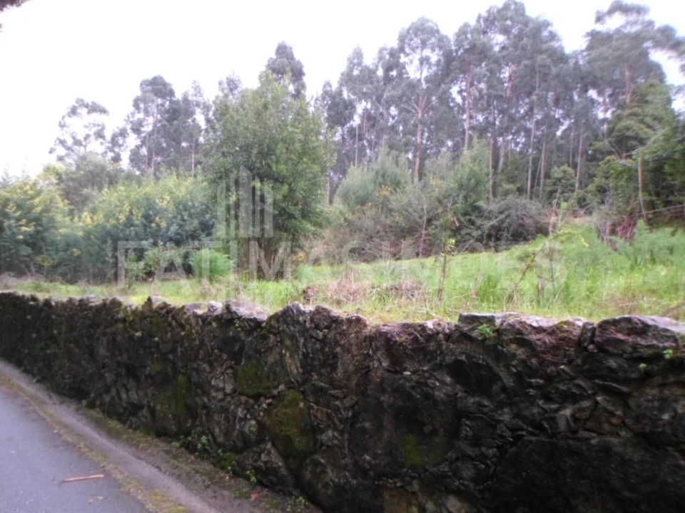 Terreno para Venda em Caminha (Matriz) e Vilarelho Foto 7