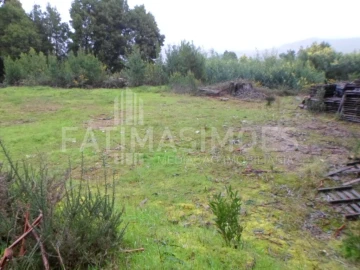 Terreno para Venda em Caminha (Matriz) e Vilarelho