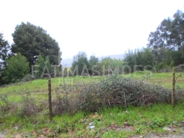Terreno para Venda em Caminha (Matriz) e Vilarelho