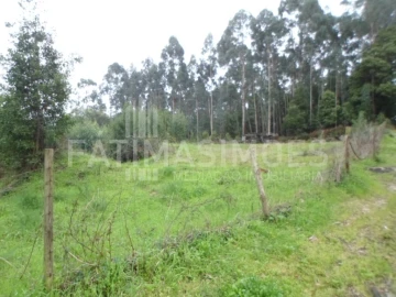 Terreno para Venda em Caminha (Matriz) e Vilarelho
