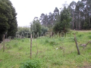 Terreno para Venda em Caminha (Matriz) e Vilarelho