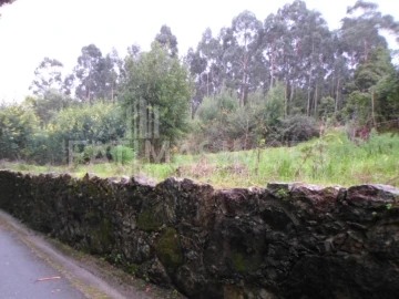 Terreno para Venda em Caminha (Matriz) e Vilarelho