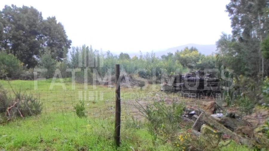 Terreno para Venda em Caminha (Matriz) e Vilarelho