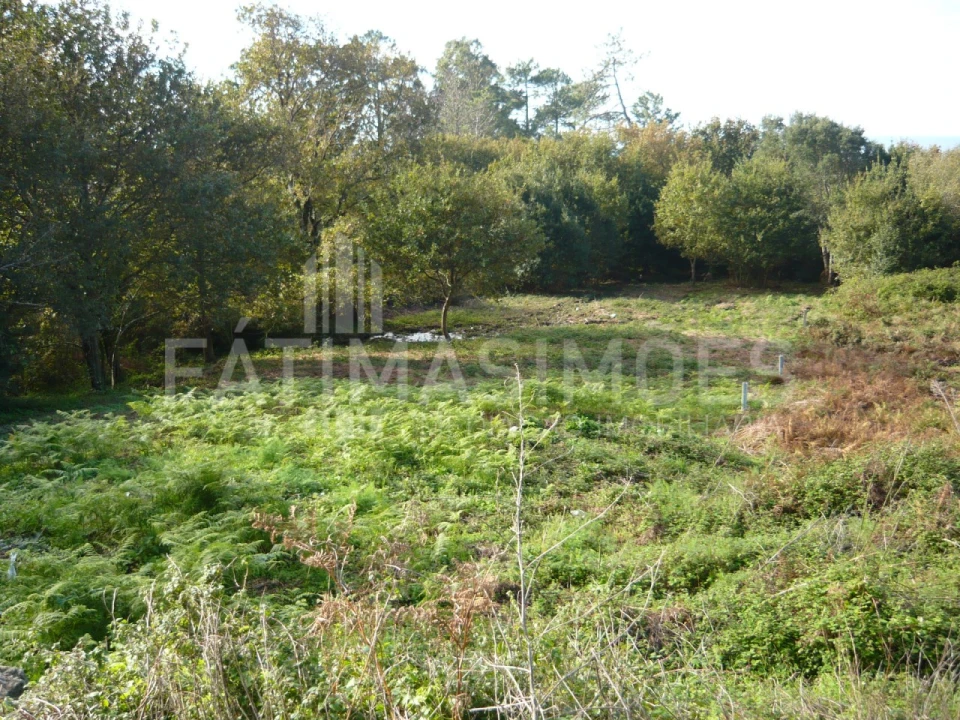 Terreno para Venda em Carreço Foto 1