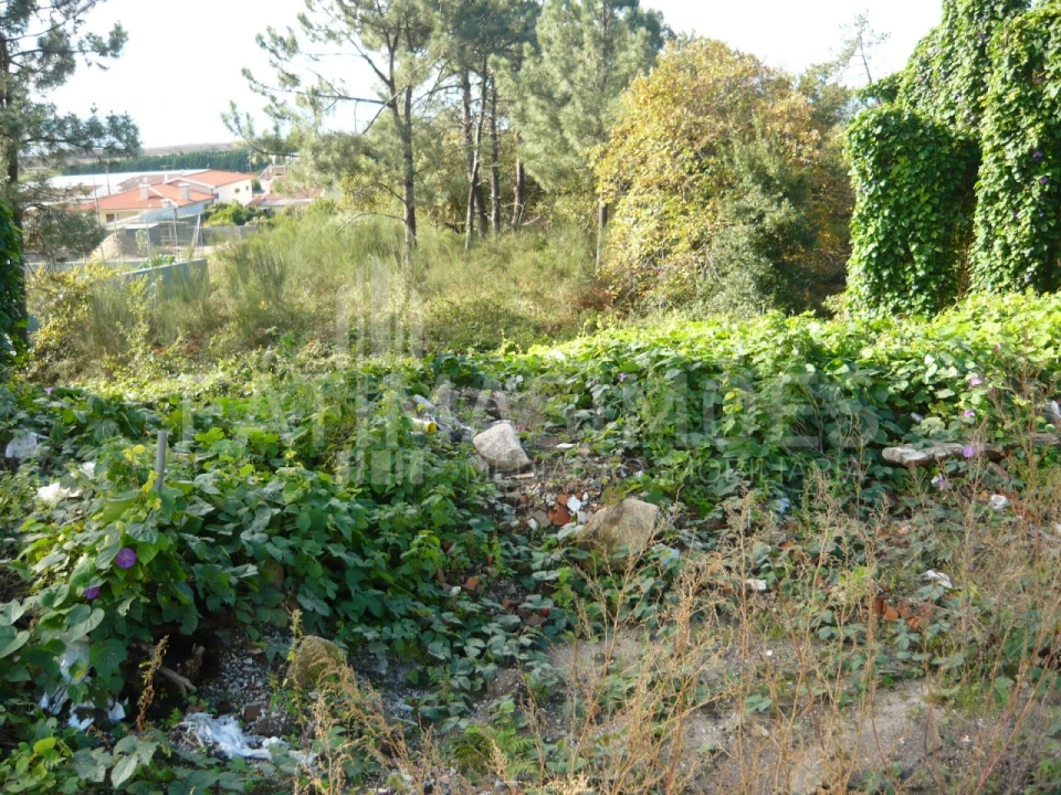 Terreno para Venda em Carreço Foto 2