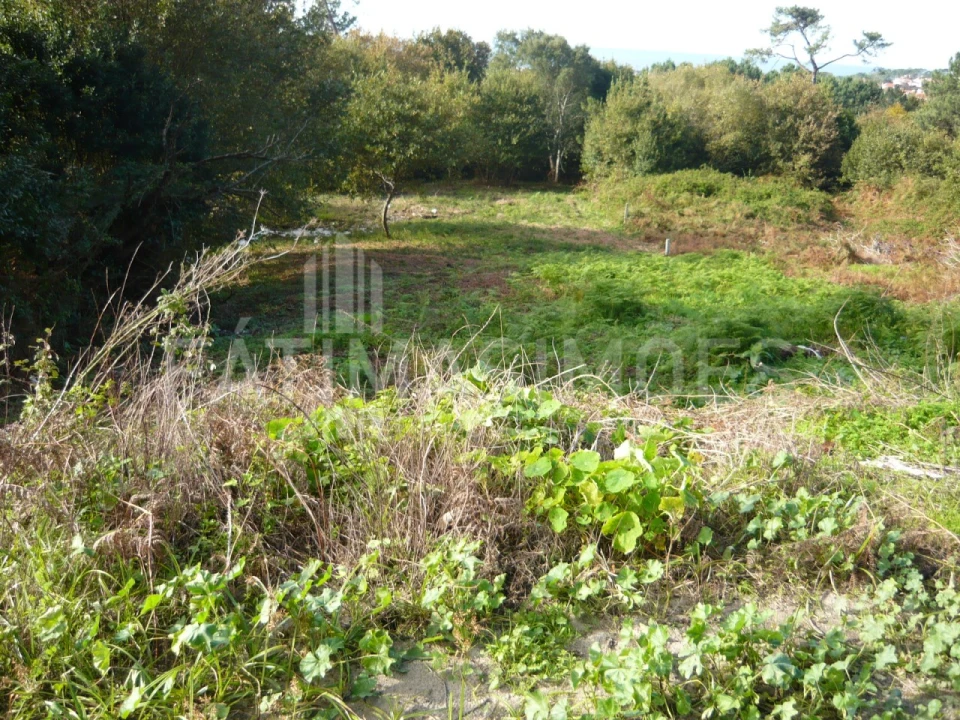 Terreno para Venda em Carreço Foto 3