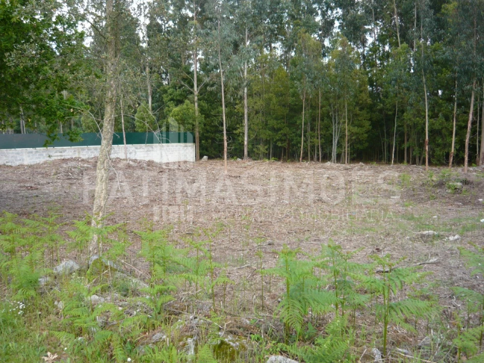 Terreno para Venda em Vilar de Mouros Foto 1