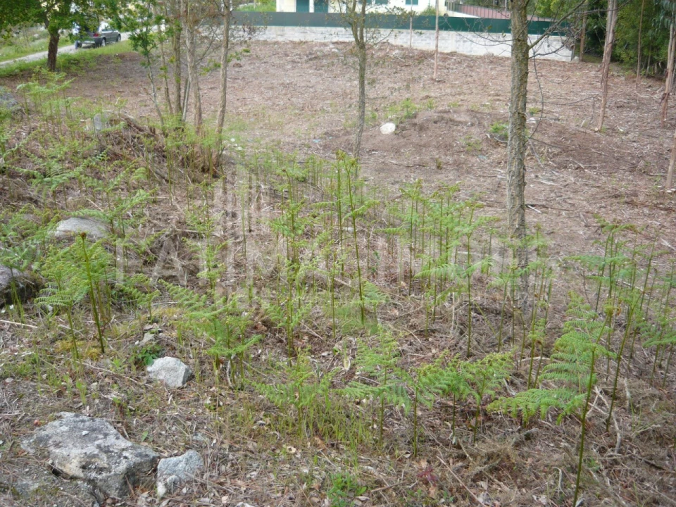 Terreno para Venda em Vilar de Mouros Foto 2