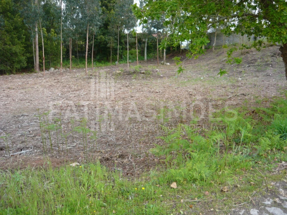 Terreno para Venda em Vilar de Mouros Foto 3