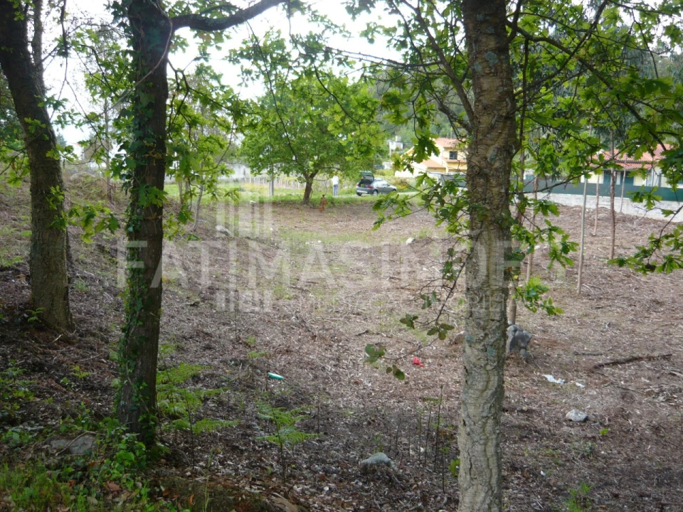 Terreno para Venda em Vilar de Mouros Foto 4