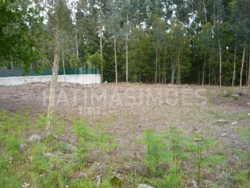 Terreno para Venda em Vilar de Mouros