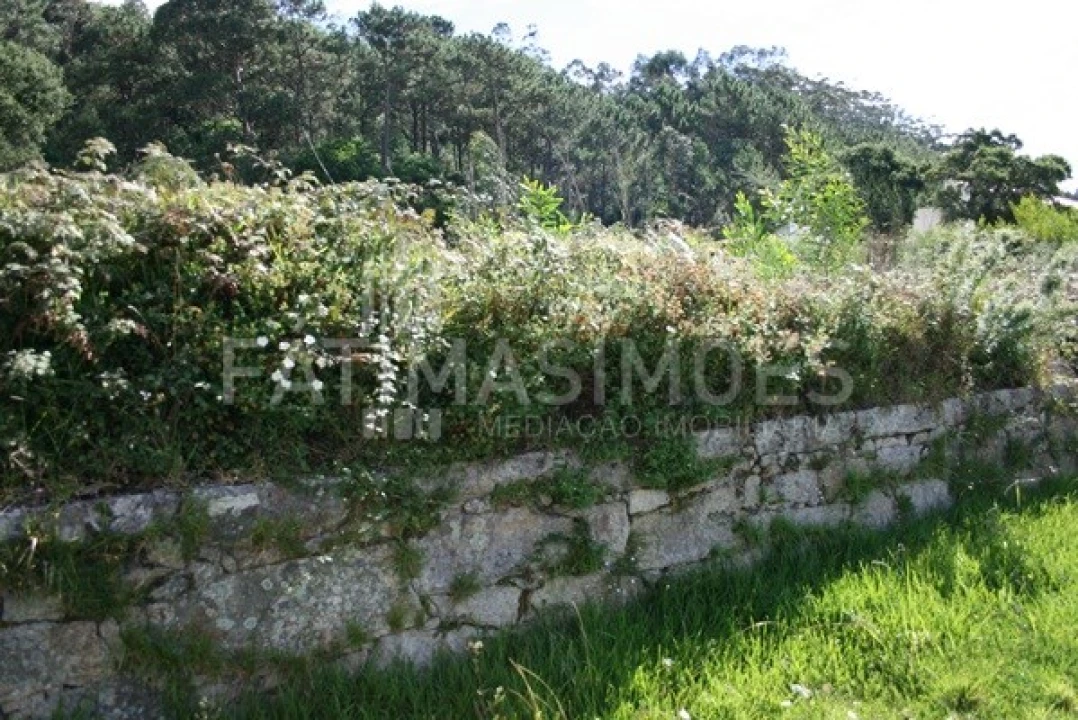 Terreno para Venda em Afife Foto 2