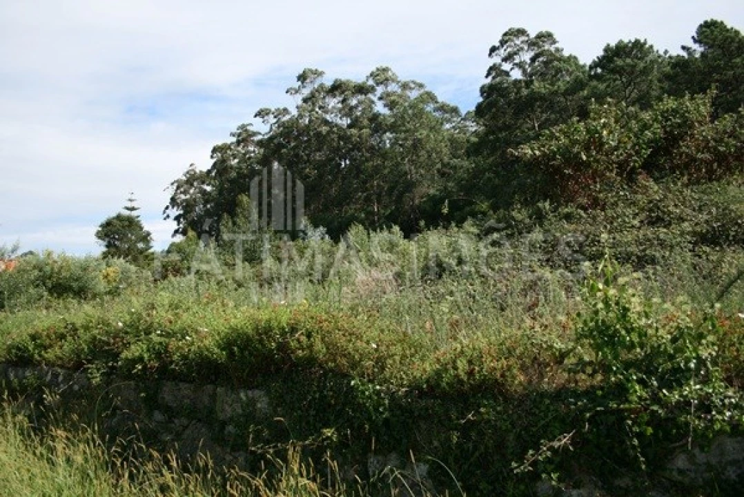 Terreno para Venda em Afife Foto 3