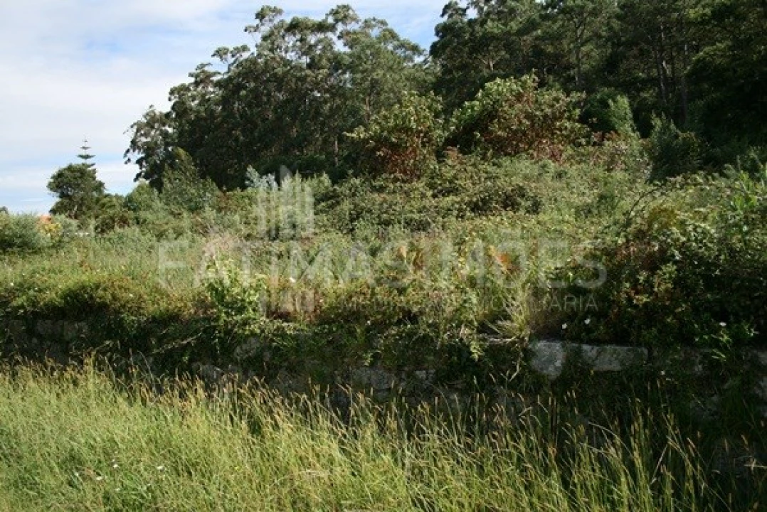 Terreno para Venda em Afife Foto 4
