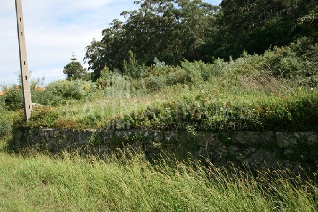 Terreno para Venda em Afife Foto 5