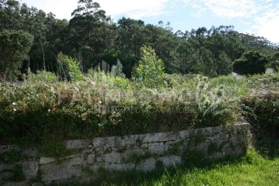 Terreno para Venda em Afife