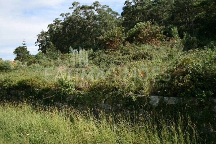 Terreno para Venda em Afife Foto 4