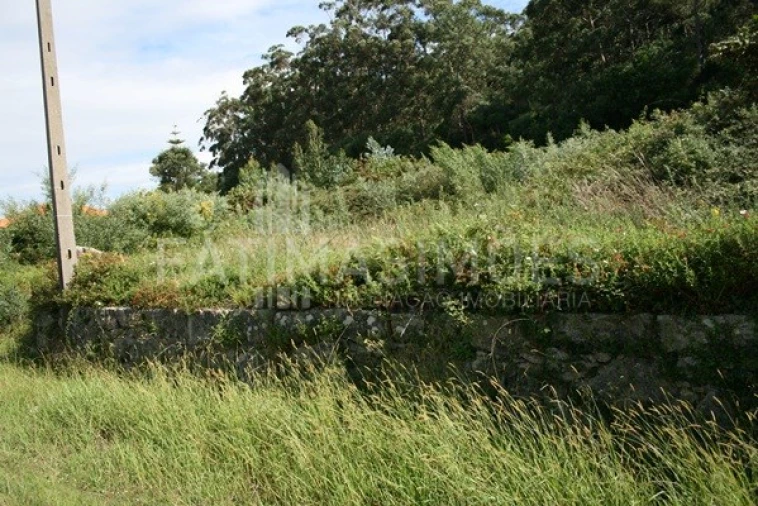 Terreno para Venda em Afife Foto 5
