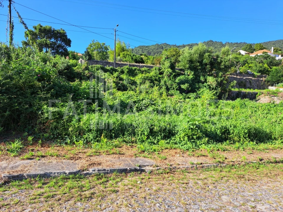 Terreno para Venda em Afife Foto 1