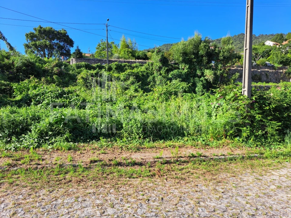 Terreno para Venda em Afife Foto 2