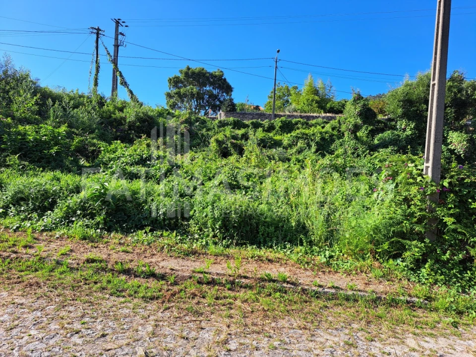 Terreno para Venda em Afife Foto 3