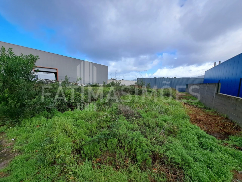 Terreno para Venda em Ancora Foto 3