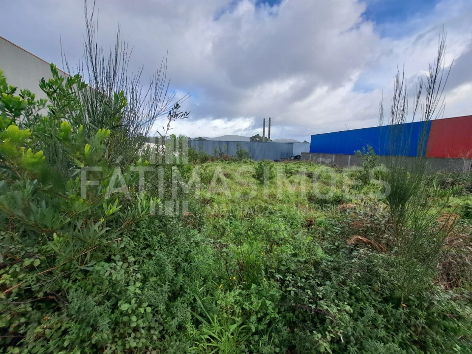 Terreno para Venda em Ancora Foto 4