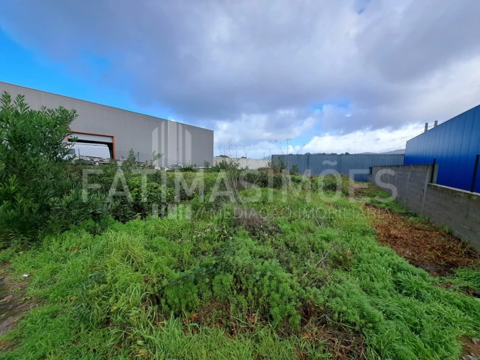 Terreno para Venda em Ancora Foto 3