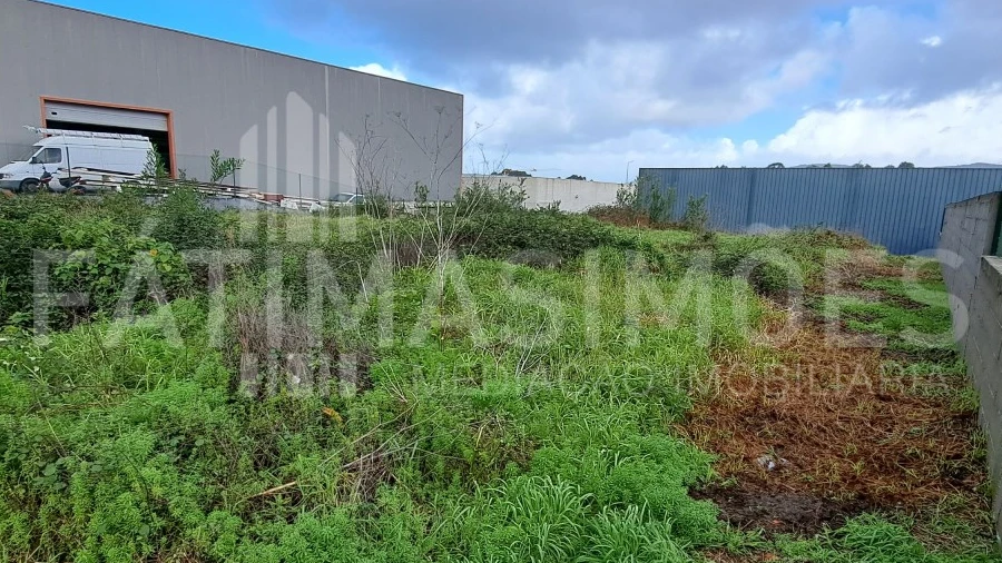 Terreno para Venda em Ancora