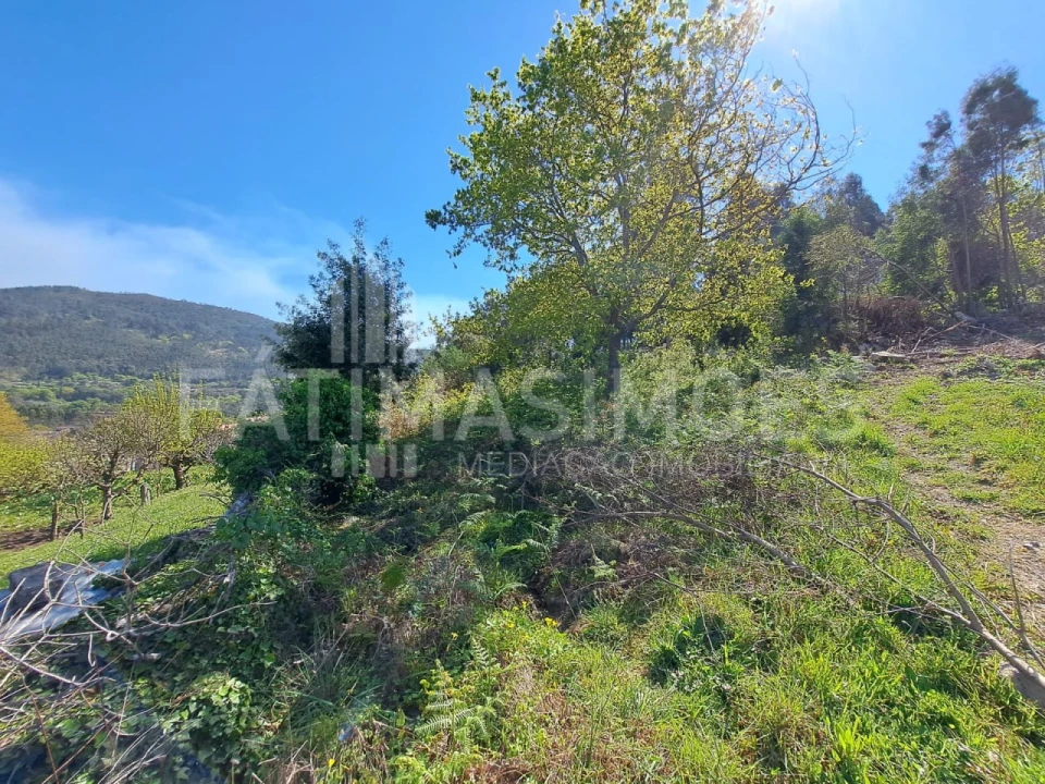 Terreno para Venda em Ancora Foto 1