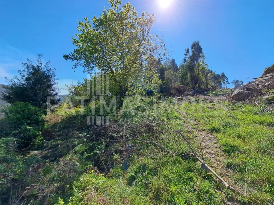 Terreno para Venda em Ancora Foto 2