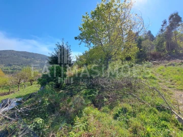 Terreno para Venda em Ancora