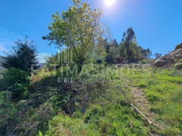 Terreno para Venda em Ancora