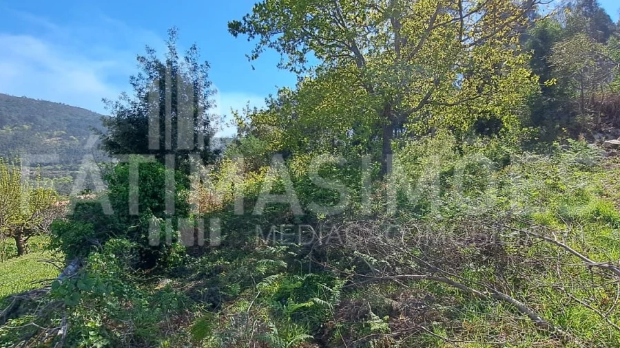 Terreno para Venda em Ancora