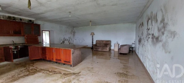 Quinta T5 para Venda em Almoster