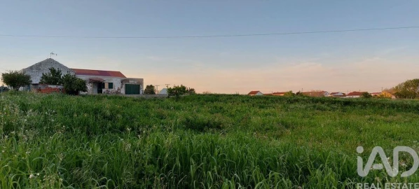 Quinta T5 para Venda em Almoster
