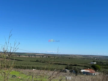 Apartamento T1 para Venda em Beja (Salvador e Santa Maria da Feira)