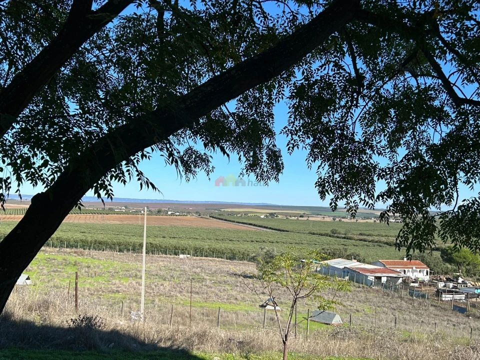 Apartamento T1 para Venda em Beja (Salvador e Santa Maria da Feira) Foto 15