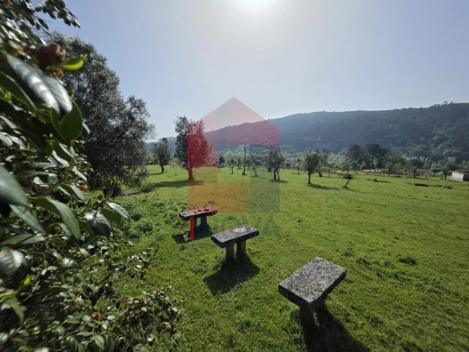 Moradia T3 para Venda em Escariz (São Mamede) e Escariz (São Martinho) Foto 14