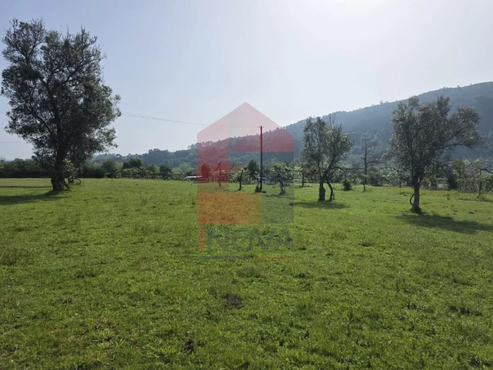Moradia T3 para Venda em Escariz (São Mamede) e Escariz (São Martinho) Foto 22