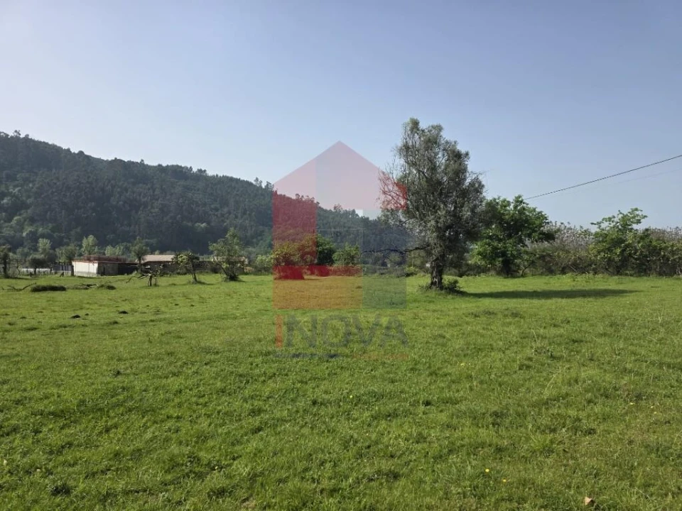 Moradia T3 para Venda em Escariz (São Mamede) e Escariz (São Martinho) Foto 29