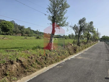 Moradia T3 para Venda em Escariz (São Mamede) e Escariz (São Martinho)