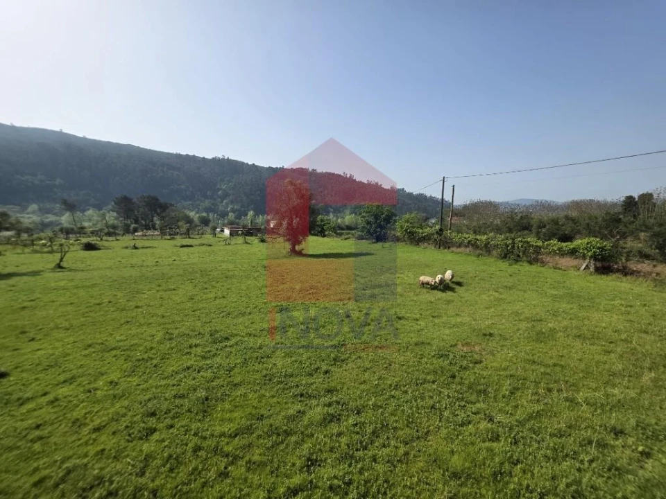 Moradia T3 para Venda em Escariz (São Mamede) e Escariz (São Martinho) Foto 16