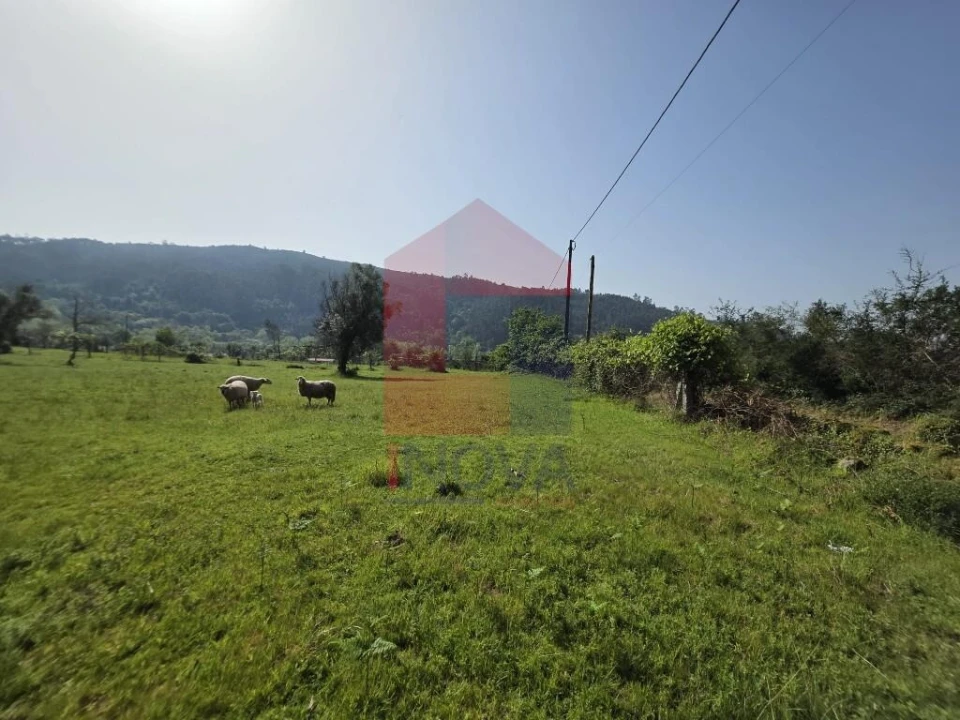 Moradia T3 para Venda em Escariz (São Mamede) e Escariz (São Martinho) Foto 20