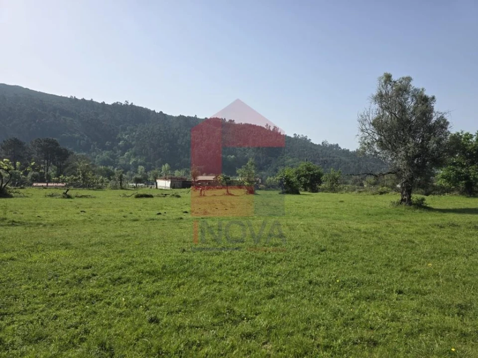 Moradia T3 para Venda em Escariz (São Mamede) e Escariz (São Martinho) Foto 28