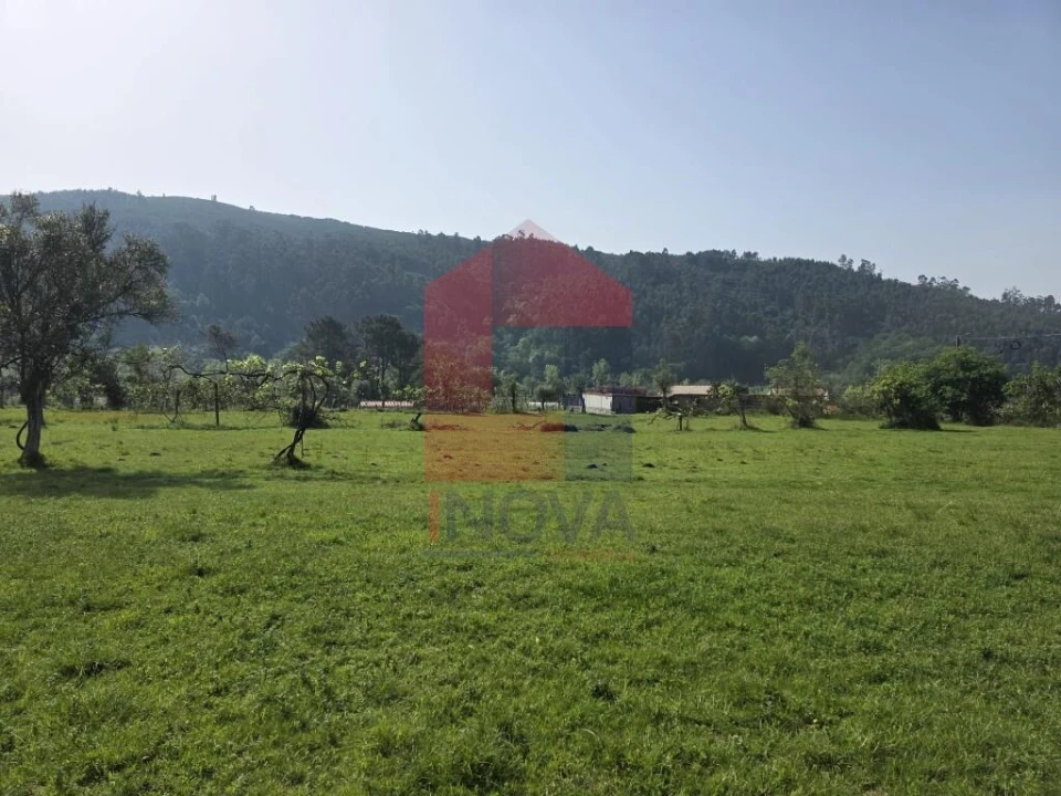 Moradia T3 para Venda em Escariz (São Mamede) e Escariz (São Martinho) Foto 23