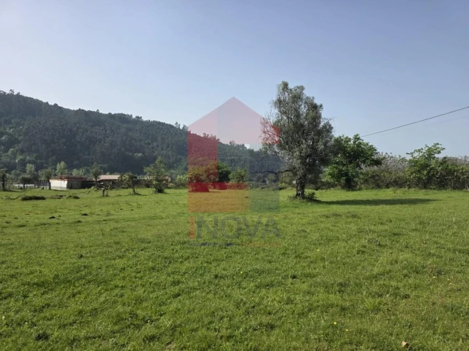 Moradia T3 para Venda em Escariz (São Mamede) e Escariz (São Martinho) Foto 29