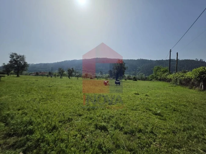 Moradia T3 para Venda em Escariz (São Mamede) e Escariz (São Martinho) Foto 17