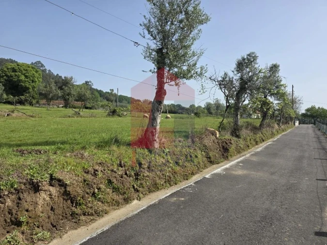 Moradia T3 para Venda em Escariz (São Mamede) e Escariz (São Martinho) Foto 40