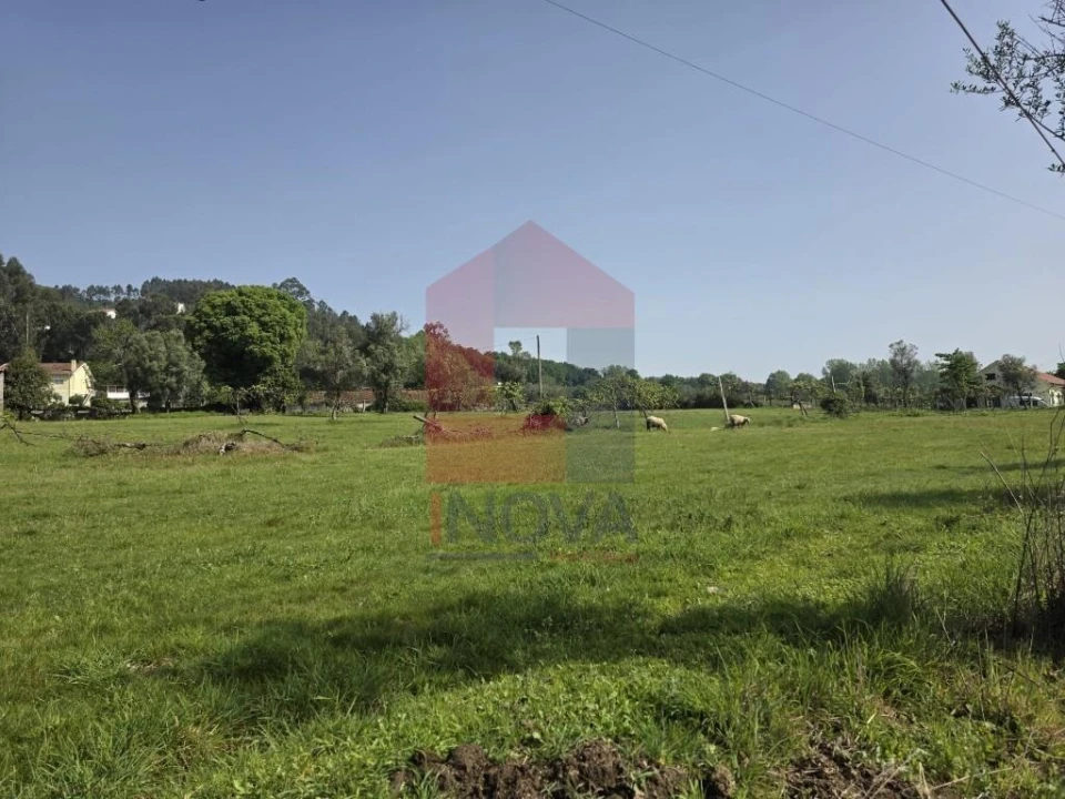 Moradia T3 para Venda em Escariz (São Mamede) e Escariz (São Martinho) Foto 37